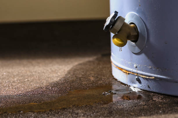 Best Residential water damage restoration  in Gregory, TX