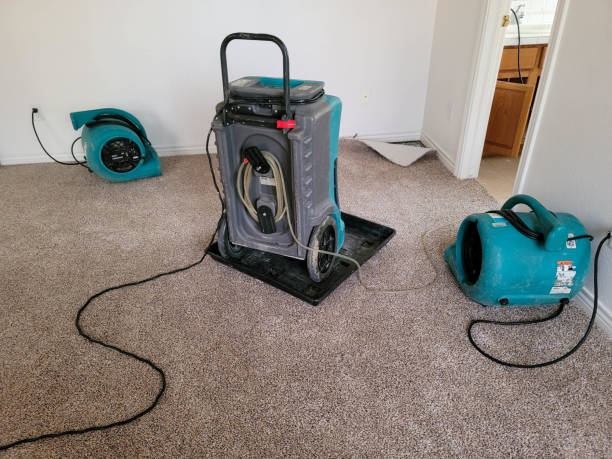 Best 24/7 water damage repair  in Gregory, TX