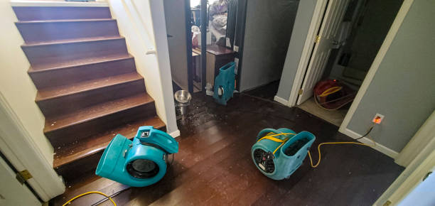 Best Water damage restoration near me  in Gregory, TX