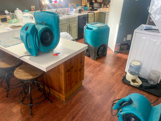 Best Emergency water extraction  in Gregory, TX