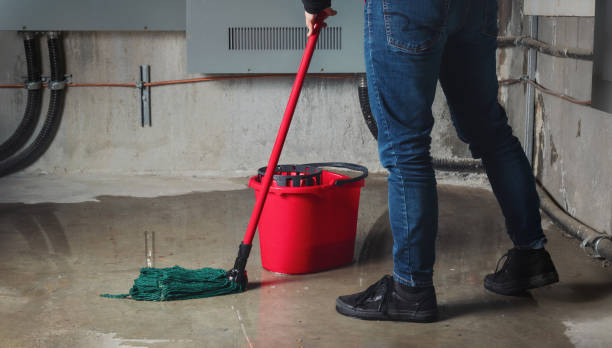 Best Flood damage cleanup  in Gregory, TX