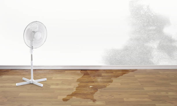 Best Ceiling water damage repair  in Gregory, TX