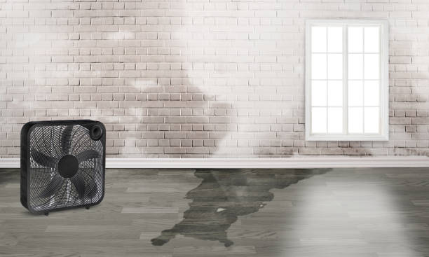 Best Water damage restoration near me  in Gregory, TX