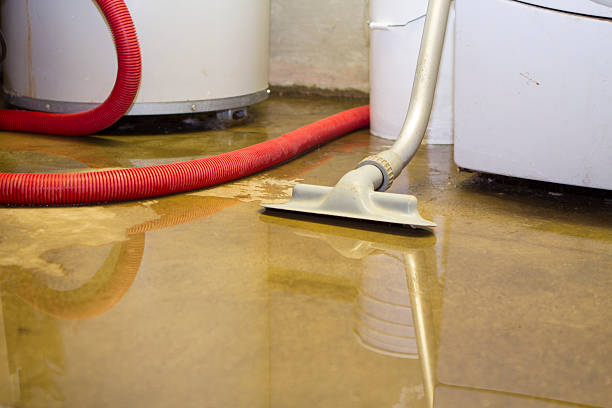 Best Ceiling water damage repair  in Gregory, TX