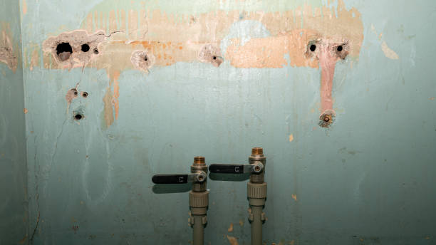 Best Water damage restoration specialists  in Gregory, TX