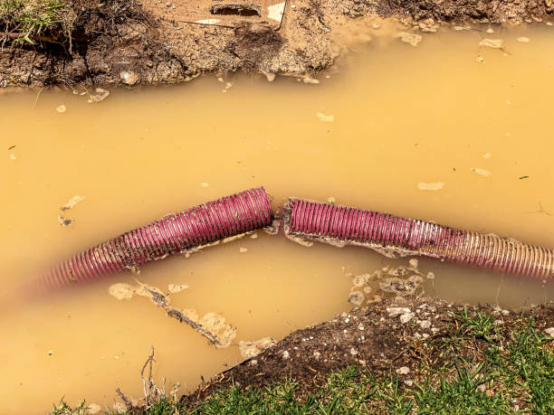 Best Flood damage cleanup  in Gregory, TX