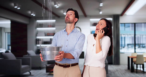 Best Mold removal after water damage  in Gregory, TX