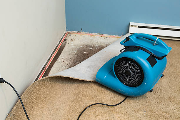 Best Water damage restoration near me  in Gregory, TX